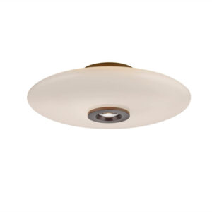Laagste prijs - Paul Neuhaus Design plafondlampPure Vitrum bruin - 6083-34