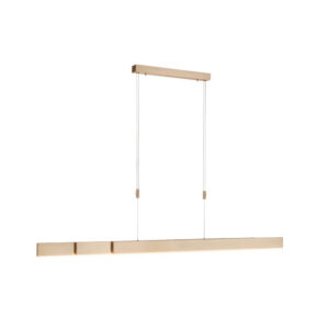 Laagste prijs - Paul Neuhaus Led hanglampPure-Moto messing mat - 2525-60