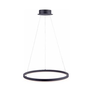 Laagste prijs - Paul Neuhaus Led hanglampTitus Ø 60cm - 2382-13