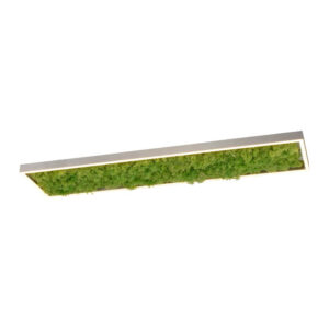 Laagste prijs - Just Light Rechthoekige plafondlampGreen Knut met mos - 15623-66