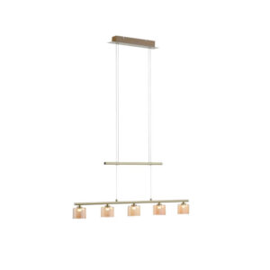 Laagste prijs - Paul Neuhaus 5-lichts hanglampHydra messing - 2209-60