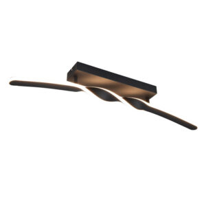 Laagste prijs - Trio Design plafondlampGinko zwart - R65791132