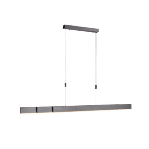 Laagste prijs - Paul Neuhaus Led hanglampPure-Moto geborsteld antraciet - 2525-15