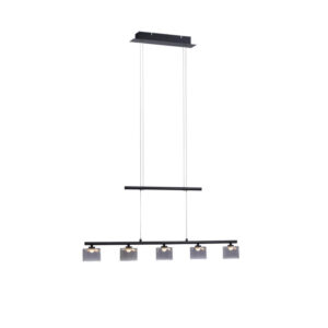 Laagste prijs - Paul Neuhaus 5-lichts hanglampHydra zwart - 2209-18