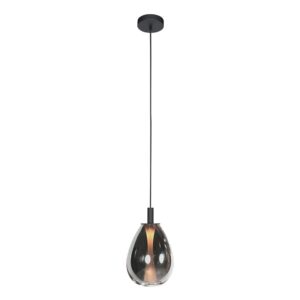 Laagste prijs - Steinhauer HanglampGlimsy 1-lichts zwart Ø 22cm - 4199ZW
