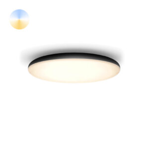 Laagste prijs - Philips PlafondlampHue Cher - White Ambiance Ø 47