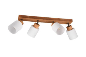 Laagste prijs - Trio Landelijke plafondspotAssam 4-lichts - R81114030