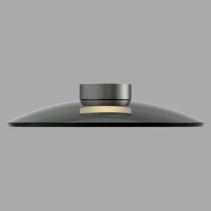 Laagste prijs - Paul Neuhaus PlafondlampPure Moon Ø 50cm - platin met smoke glas - 6095-15