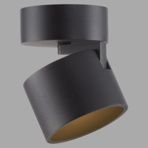 Laagste prijs - Paul Neuhaus Strakke opbouwspotPure Cup black pearl - 6226-18