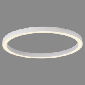 Laagste prijs - Paul Neuhaus Strakke led plafondlampPure Lines Round Ø 70cm - wit - 6306-16