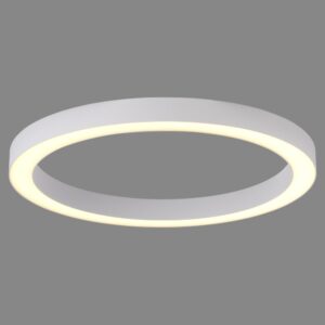 Laagste prijs - Paul Neuhaus Strakke led plafondlampPure Lines Round Ø 50cm - wit - 6309-16