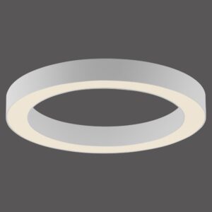 Laagste prijs - Paul Neuhaus Strakke led plafondlampPure Lines Round Ø 35cm - wit - 6310-16