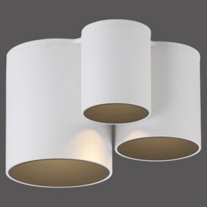 Laagste prijs - Paul Neuhaus 3L plafondlampPure Point wit - 6750-16
