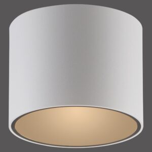 Laagste prijs - Paul Neuhaus Plafond opbouwspotPure Point Ø 11cm - wit - 6761-16