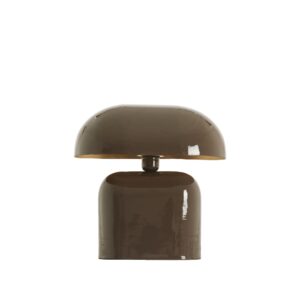 Laagste prijs - Light & Living SchemerlampTodd ovaal - glans donker bruin - 1897583