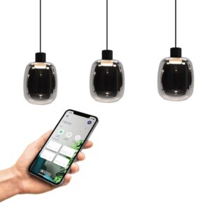 Laagste prijs - Eglo Smoke hanglampMolochio-Z 3x led - Zigbee - 901121
