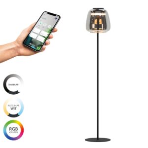 Laagste prijs - Eglo VloerlampAlfero-Z smoke glas - app bediening - 901196