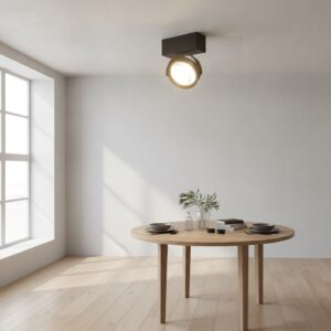 Laagste prijs - Artdelight 12 volt opbouwspotDutchess Beam zwart - QR 0001 ZW